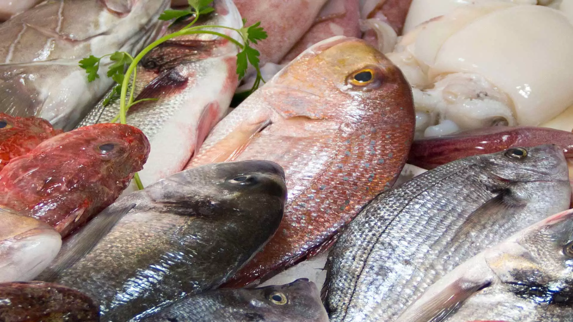slika kategorije Fish Markets