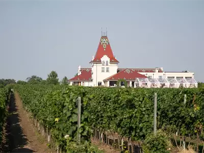 Vinarija Zvonko Bogdan - Wine Growing