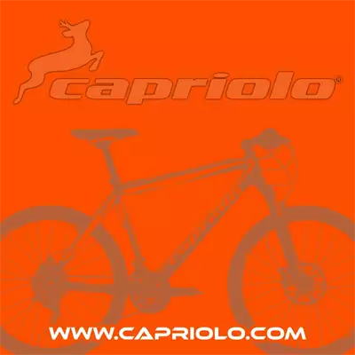 capriolo1