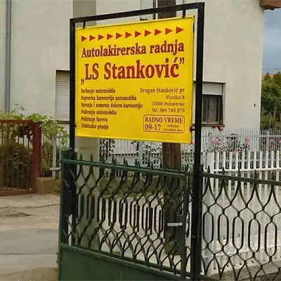 LS Stanković slika 1