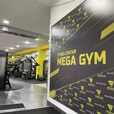 Mega Gym Batajnica