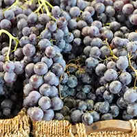 Župa Harvest in Aleksandrovac | Tourist Calendar of Serbia