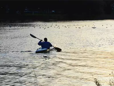 Danube Regatta | Tourist Calendar of Serbia