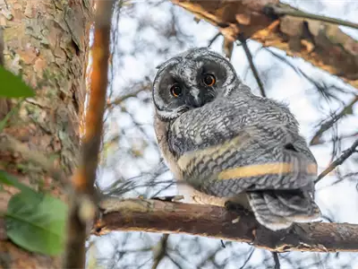 Sovembar u Kikindi | Turistički kalendar Srbije