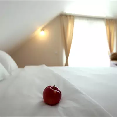 Hotel Novella Uno - soba sa francuskim ležajem 3