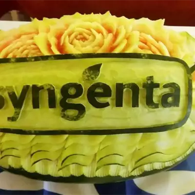 Syngenta Srbija zaštita bilja seme ratarstvo