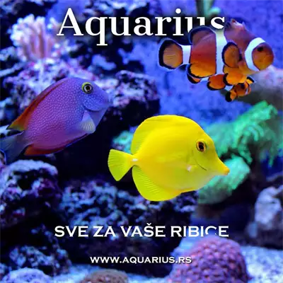 Sve za ribice Aquarius