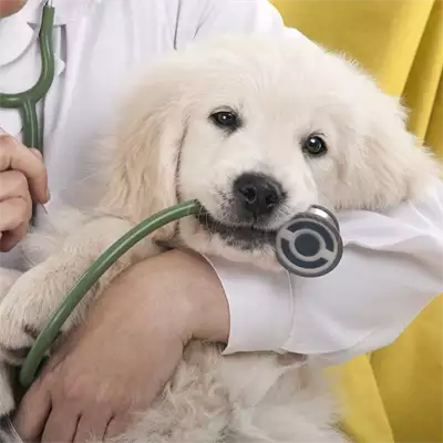 Veterinarska ambulanta Božinović