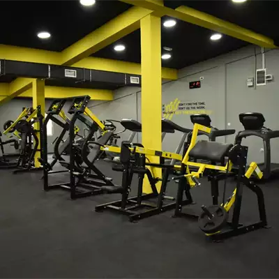 Mega Gym Zemun Polje