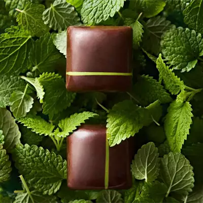 Premier praline menta