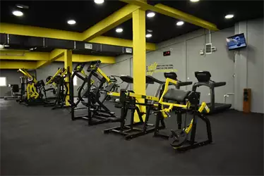 Mega Gym Zemun Polje