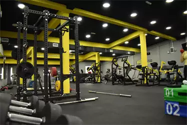 Mega Gym Zemun Polje