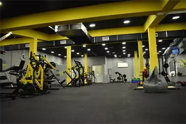 Mega Gym Zemun Polje