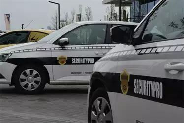 Securitypro parking