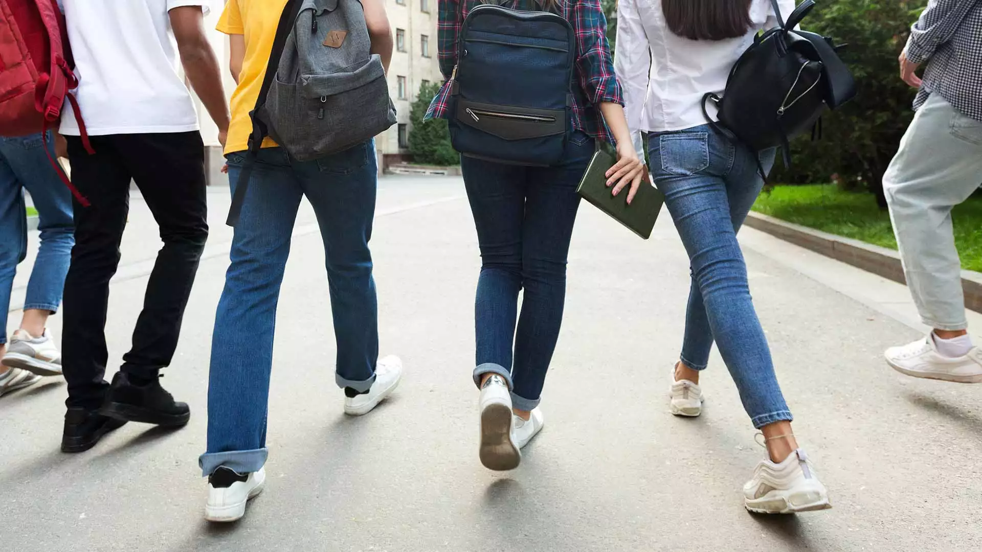 slika kategorije Gimnazije i srednje stručne škole