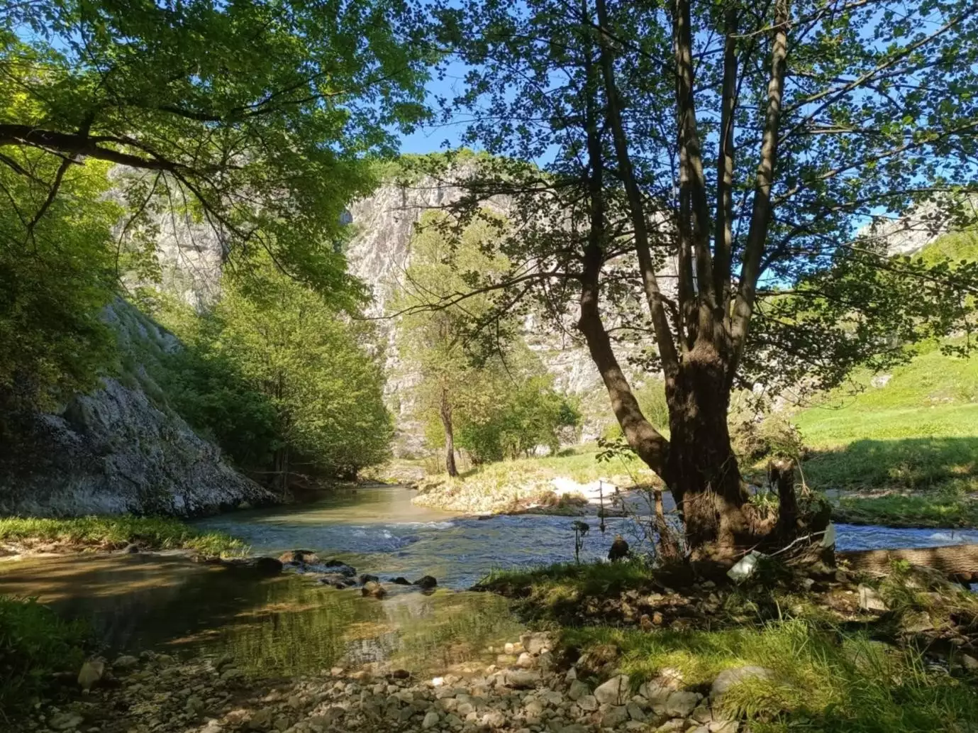 Mesto nadomak Niševca