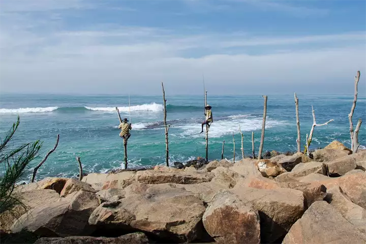 Stilt fishermen, Sri Lanka