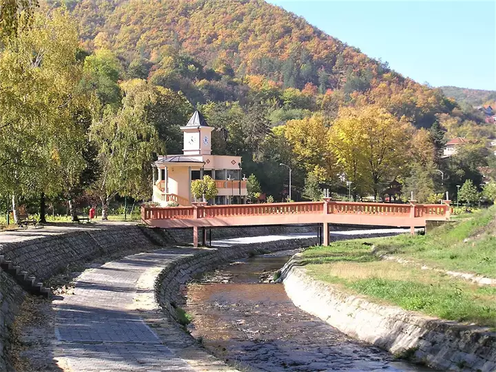 Vranjska banja