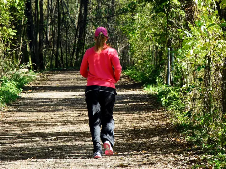 Fruskogorski maraton