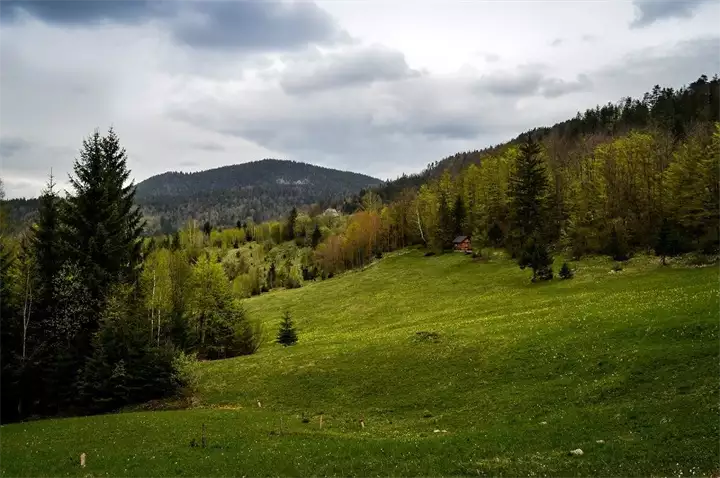 Planina Tara