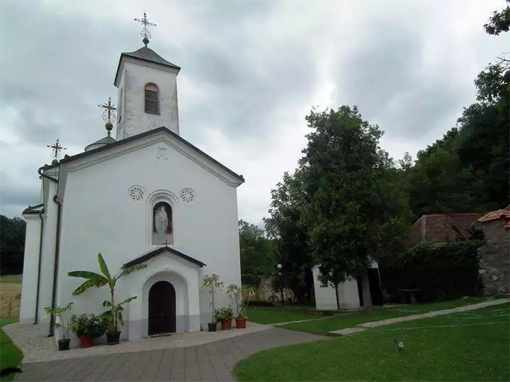 Vedran Petrovic Manastir Cokesina